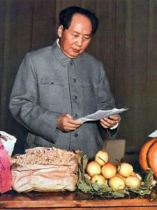 ​六亿神州尽舜尧(六亿神州尽舜尧拼音注解)