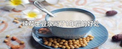 ​纯花生豆浆喝了1年后的好处