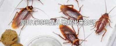 ​厕所有蟑螂是从地漏出来的吗