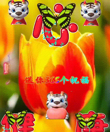 今日首发分享，感恩相遇，途有好伴，不觉路远，祝福表情包收藏版
