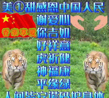今日首发分享，感恩相遇，途有好伴，不觉路远，祝福表情包收藏版