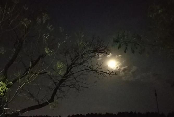 我本有心向明月,奈何明月照沟渠是什么意思