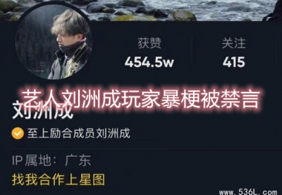 ​艺人刘洲成玩家暴梗被禁言