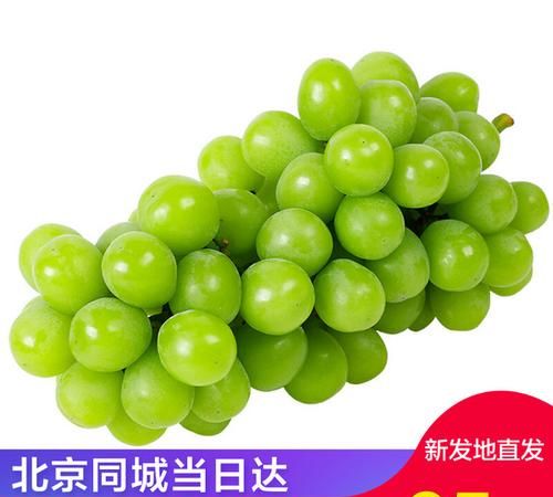 香印青提与晴王青提差别