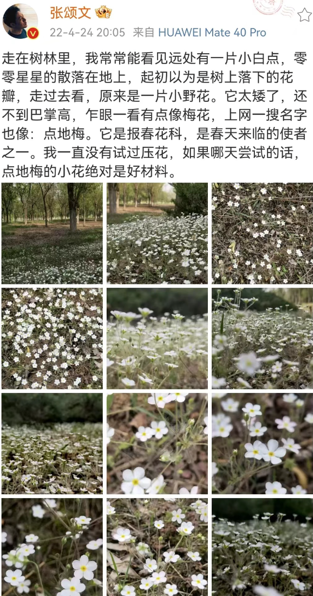 《狂飙》张颂文的“房子”火了，虽不奢华，却温馨治愈，让人羡慕