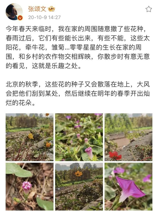 《狂飙》张颂文的“房子”火了，虽不奢华，却温馨治愈，让人羡慕