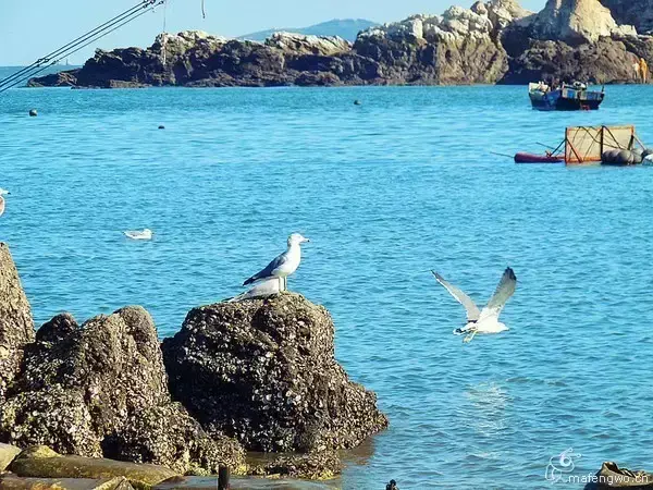 离沈阳最近的海边在哪(离沈阳最近的大海)
