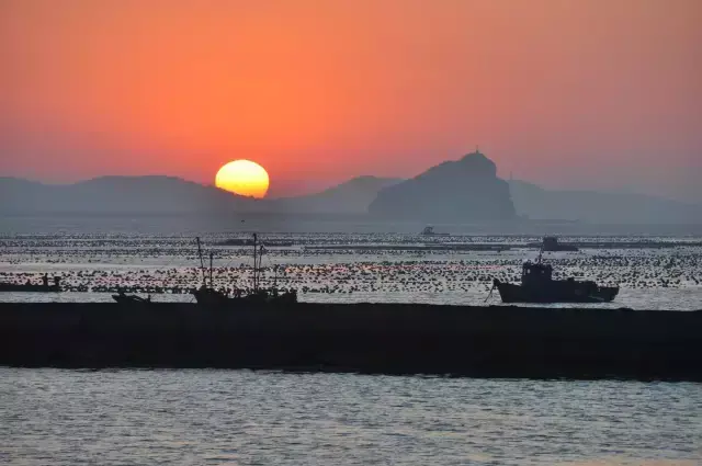 离沈阳最近的海边在哪(离沈阳最近的大海)