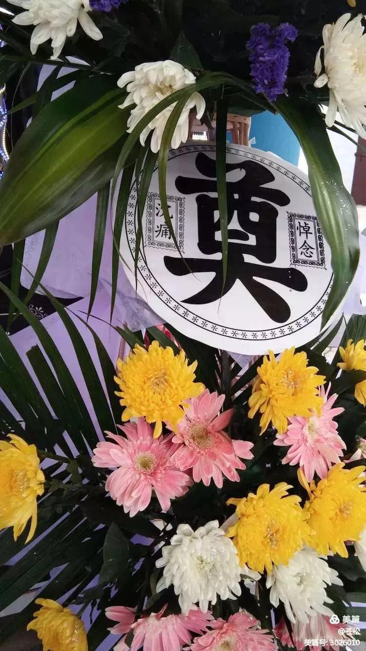 杨光合个人简介（慈祥的父亲杨光合，我们永远怀念您  ）
