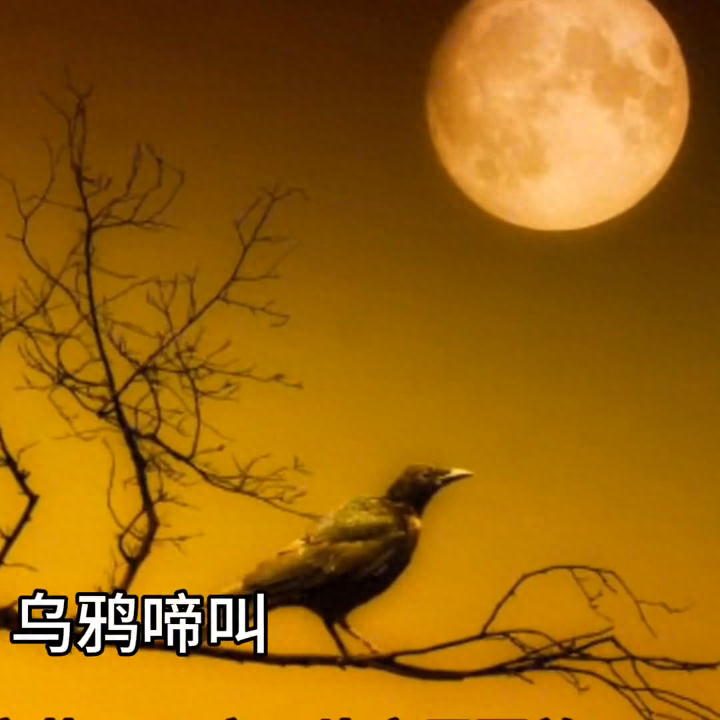 张继诗人个人资料简介（枫桥夜泊的作者简介）-