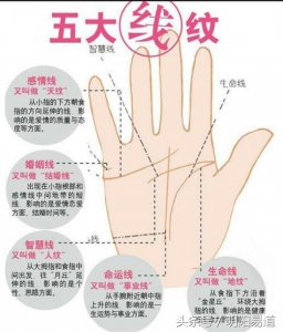 ​怎么看手相三条线（秒懂手相：从三大主线看命运走势）