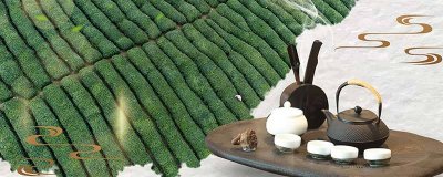 ​天山绿茶属于什么茶 天山绿茶属于什么茶种植