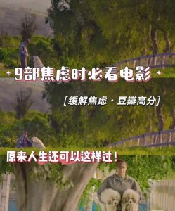 ​适合焦虑时看的电影有哪些（9部焦虑时必看电影推荐）