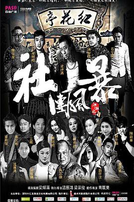 《江湖之社团风暴》电影封面