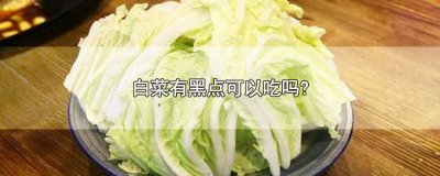 ​白菜有黑点可以吃吗图片 白菜有黑点能吃