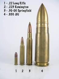 大象枪是一种什么武器?