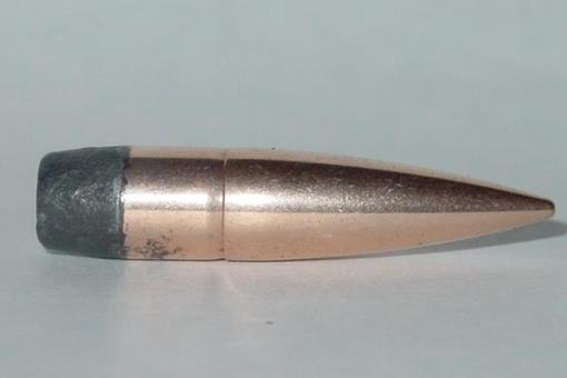 大象枪是一种什么武器?