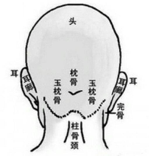 反骨到底是什么东西长在哪里?