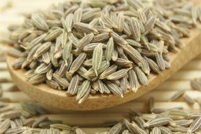 ​孜然是什么植物的种子 孜然是不是小茴香