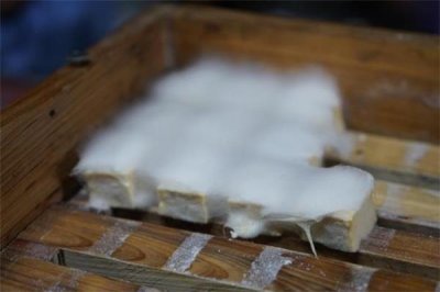 ​毛豆腐是哪里的特产 毛豆腐有营养吗