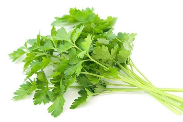 香菜怎么腌制 其实很简单