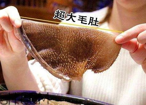 毛肚怎么保存 泡发好的毛肚怎么保存