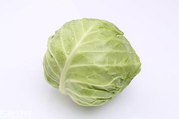 牛心菜是包菜吗？牛心菜和包菜的区别