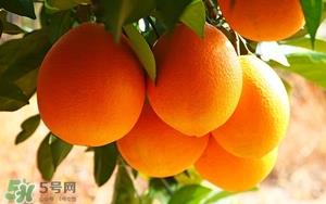 吃脐橙会上火吗？脐橙吃多了会上火吗？