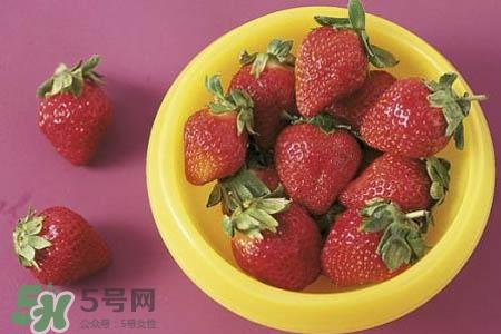 巧克力草莓是什么品种？巧克力草莓好吃吗？