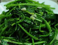 蚕豆和菠菜能一起吃吗？蚕豆和菠菜能同吃吗？