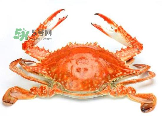 花蟹可以放冰箱吗？花蟹怎么保存才新鲜？