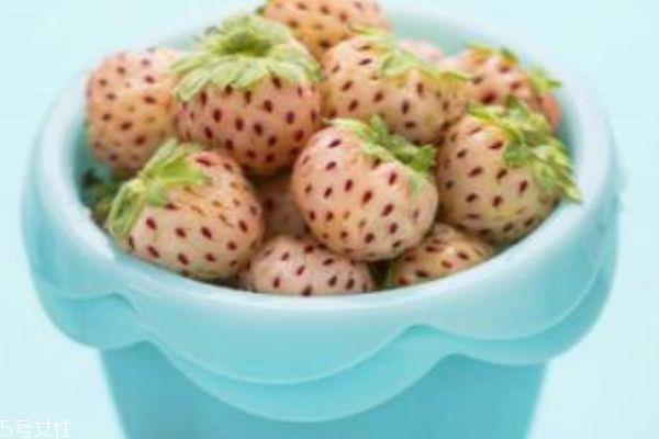 白色草莓叫什么 白色草莓多少钱一斤