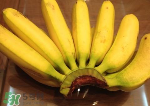 芭蕉可以放冰箱吗？芭蕉能放冰箱保存吗