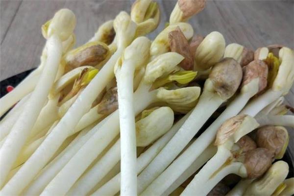 花生苗怎么炒好吃 常见做法是这样