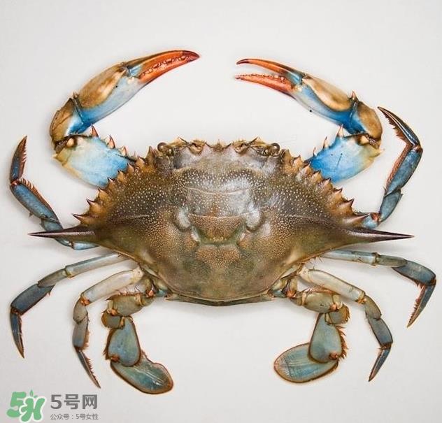 蟹膏是绿色的吗？蟹膏是黑色的能吃吗？