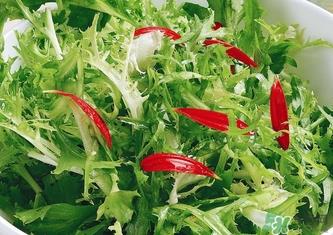 苦菊不能和什么一起吃？苦菊和什么一起吃好？