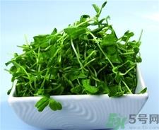 豌豆苗的营养价值 豌豆苗的功效与作用