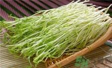 豌豆苗的营养价值 豌豆苗的功效与作用