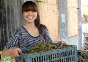 蕨菜怎么保存？蕨菜怎么保鲜？