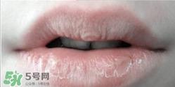lush唇部磨砂膏保质期是多久？lush唇部磨砂膏过期可以用吗？