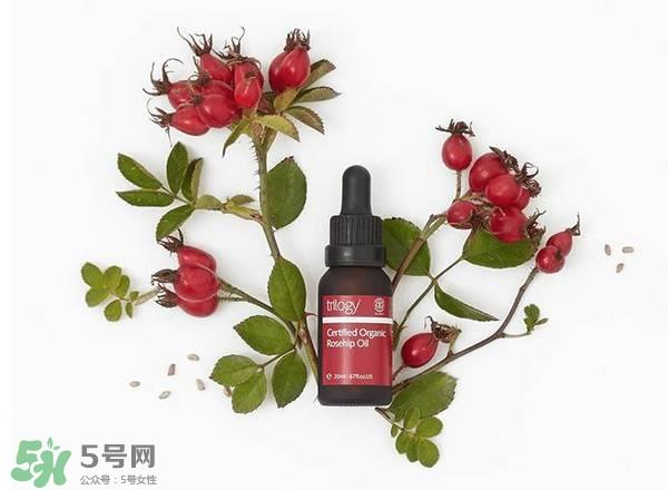 澳洲药房5大玫瑰果油评测_对比_买哪个好