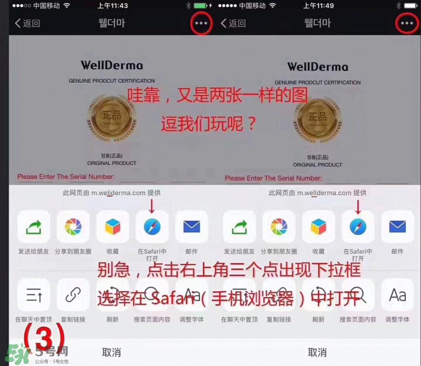 ray面膜真假鉴别图片对比