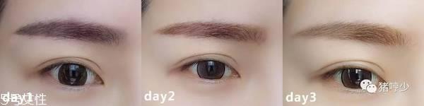 美宝莲半永久染眉胶好用吗 染眉胶使用教程