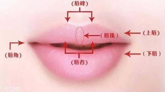 唇形不好看怎么涂口红 不同唇形怎么涂口红好看
