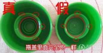 贺本清小甘菊护手霜真假辨别
