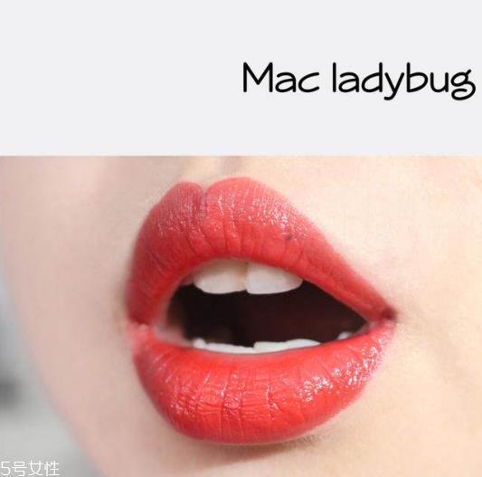 mac cockney和ladybug哪个好 mac cockney试色