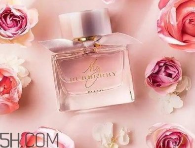 ​my burberry blush香水怎么样？my burberry blush好闻吗？