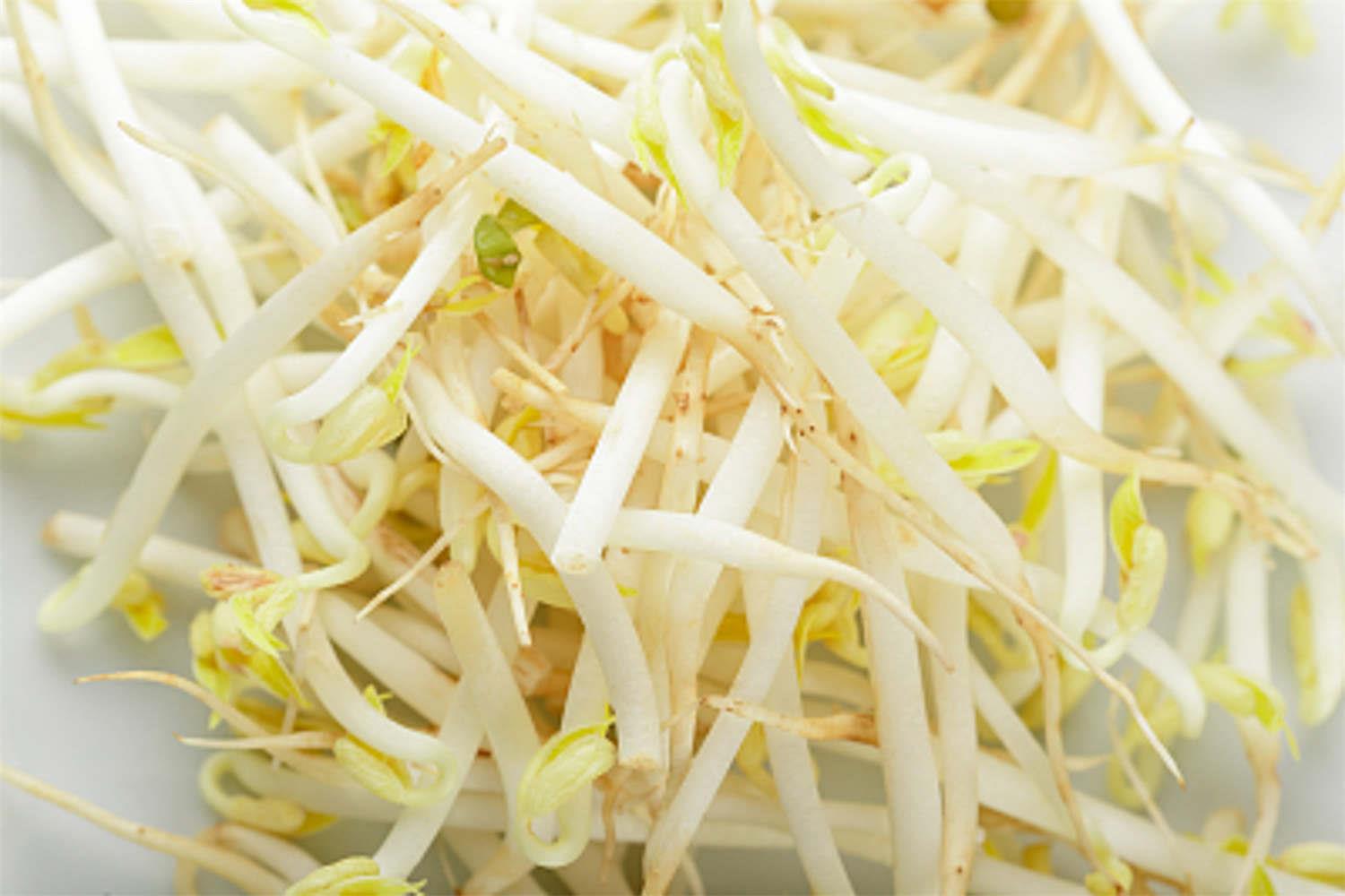 豆芽