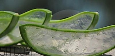​芦荟胶祛痘效果好吗？芦荟胶真的会祛痘