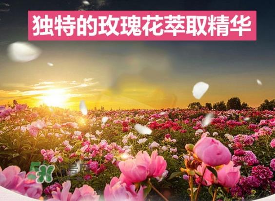 资生堂玫瑰园沐浴露怎么样？资生堂玫瑰园沐浴露多少钱